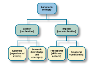 Figure 3. Available in the original OpenStax chapter.