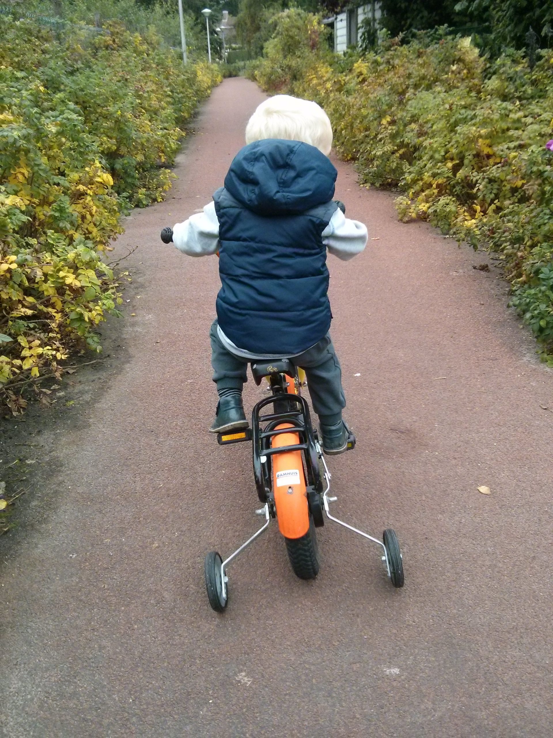 picture of child riding bike