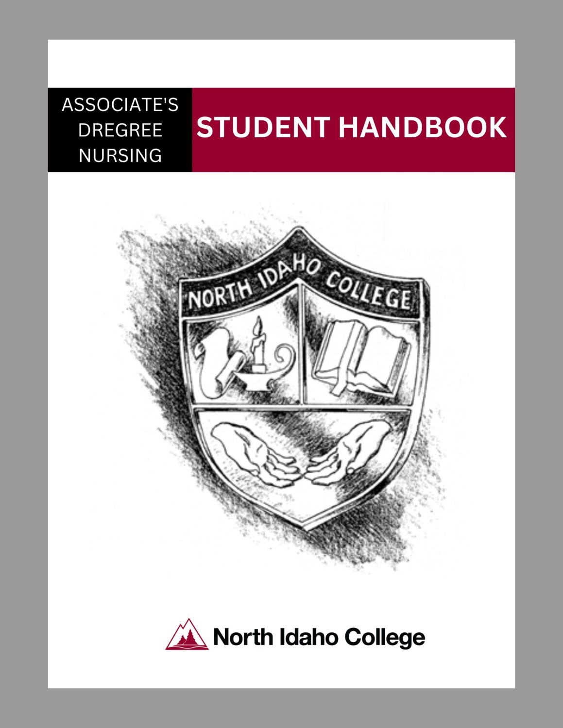 Cover image for Nursing Student Handbook