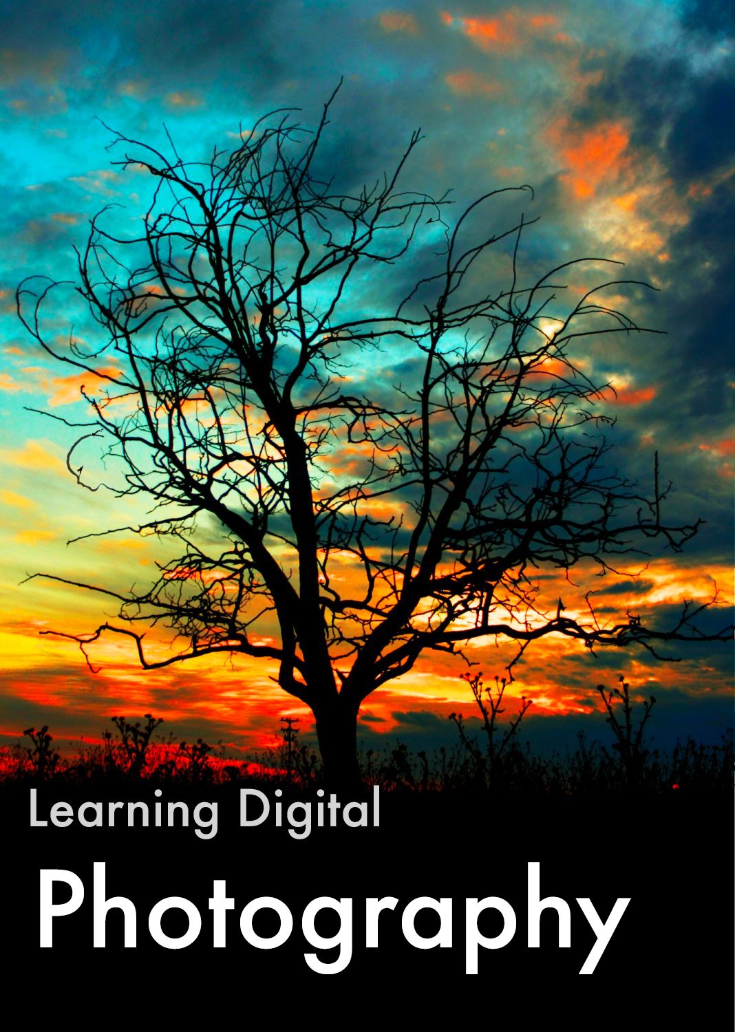 Cover image for Learning Digital Photography