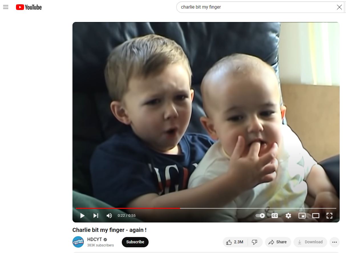 Screenshot of the popular YouTube video "Charlie Bit My Finger - Again."