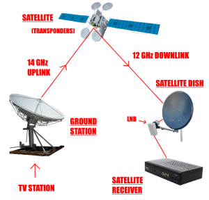 DBS diagram